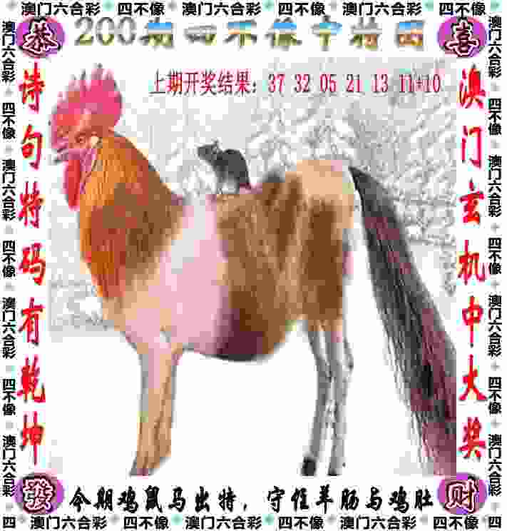 8月4日晚安徽文一男篮主场打响NBL半决赛